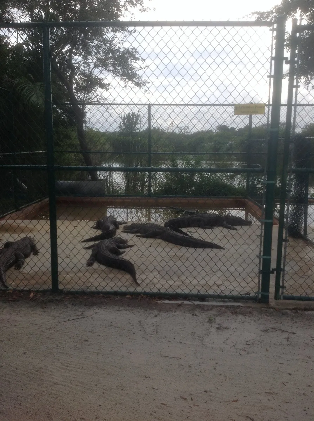 Park Narodowy Everglades
