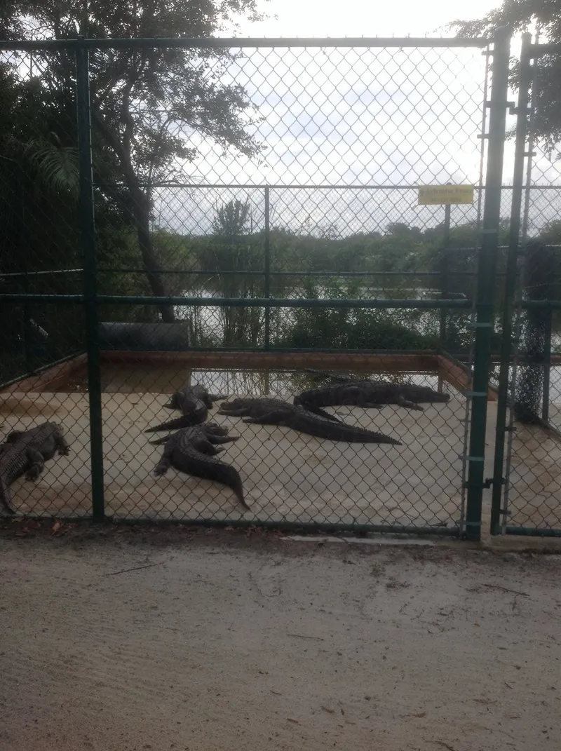 Park Narodowy Everglades