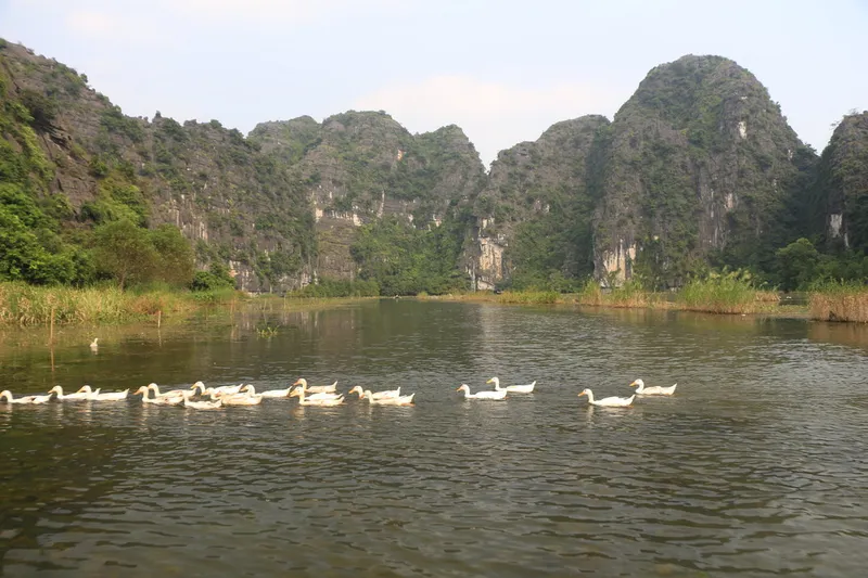 Balade en bateau à Tam Coc