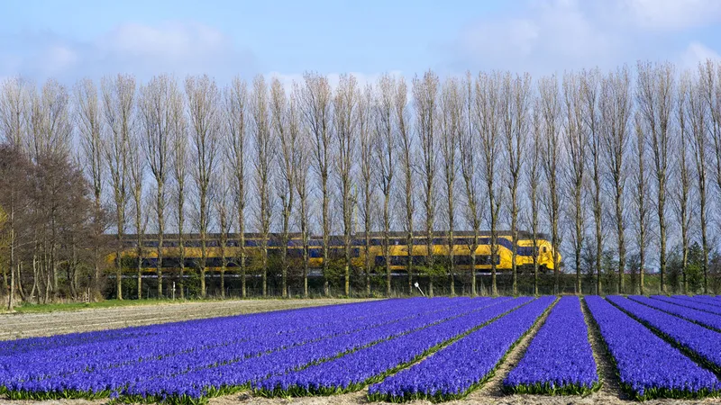 Jardins de Keukenhof