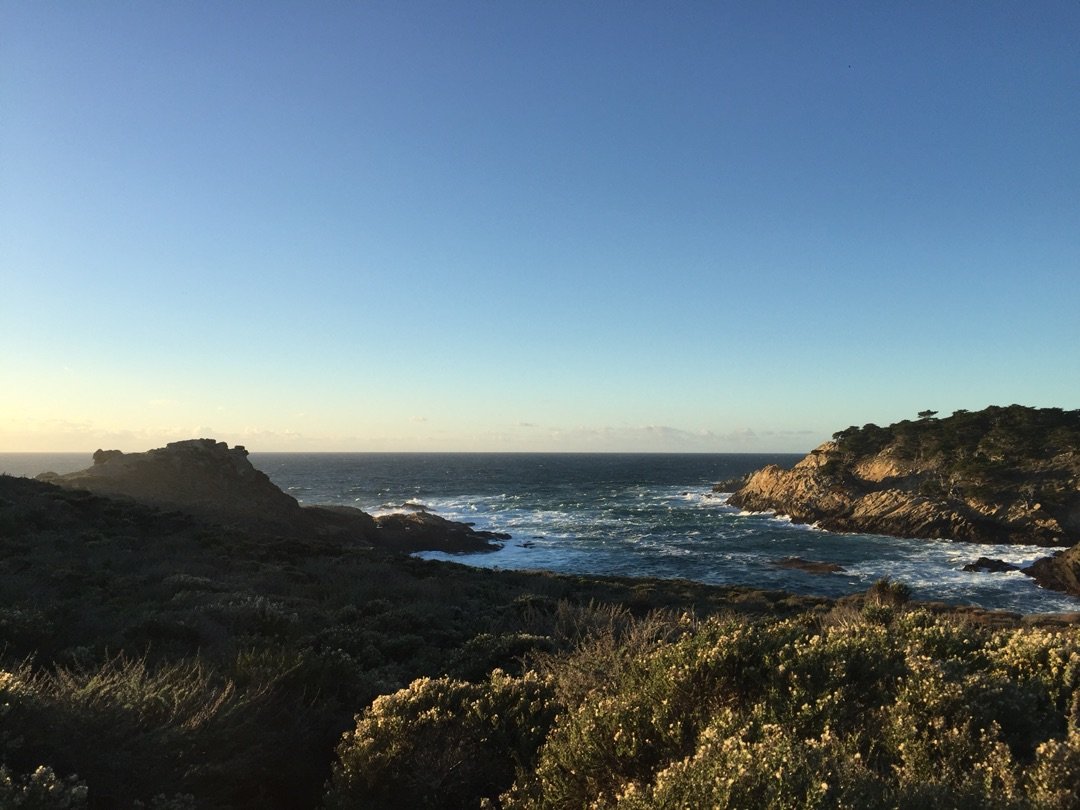 Point Lobos State Natural Reserve