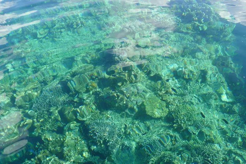 Plongée sur épaves dans la baie de Coron