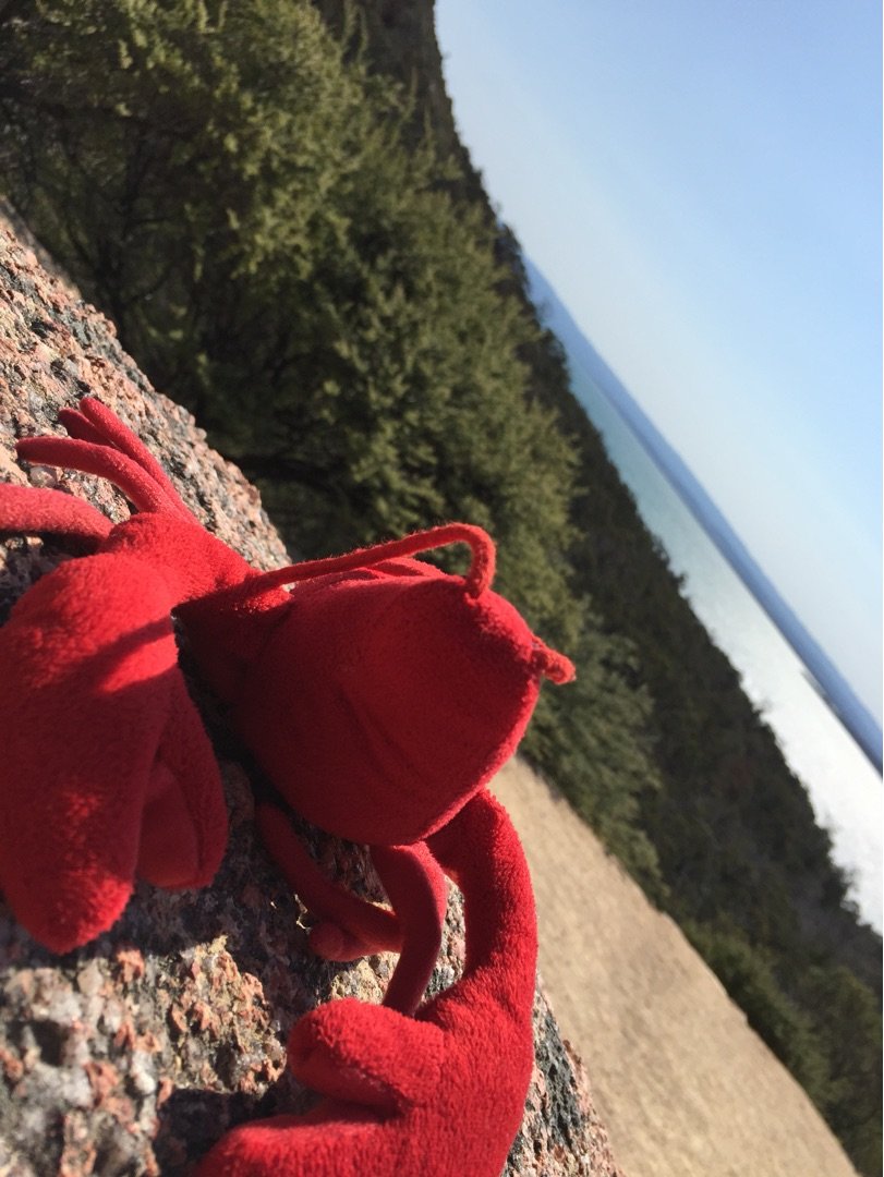 Freycinet National Park