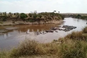 Rivière Mara
