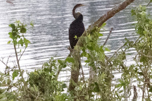 Yala National Park
