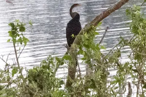 Parc national de Yala