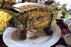 Vietnam Mekong Delta 4-Day Deep Experience