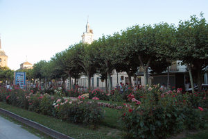 Royal Alcazar of Seville