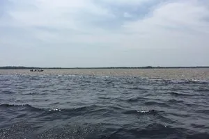 Fleuve Amazone