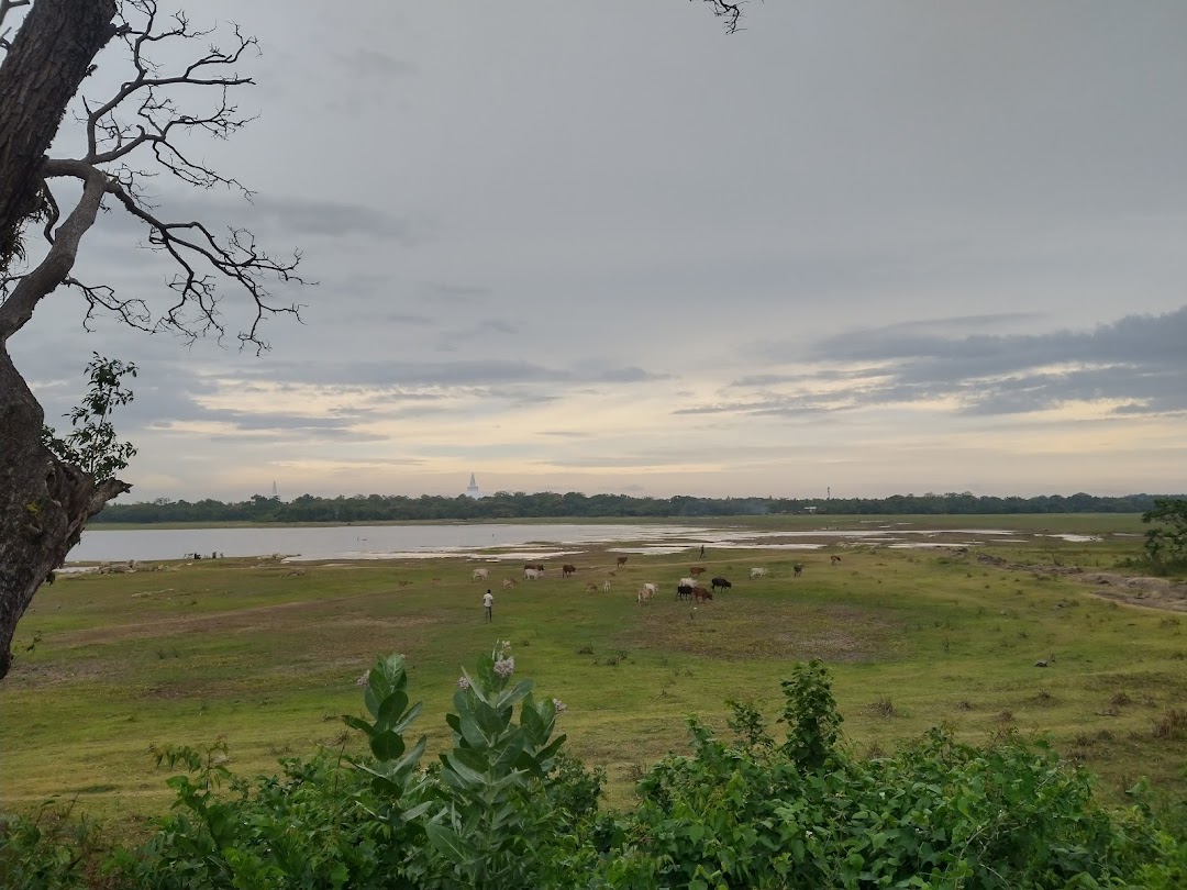 Anuradhapura Ancient City