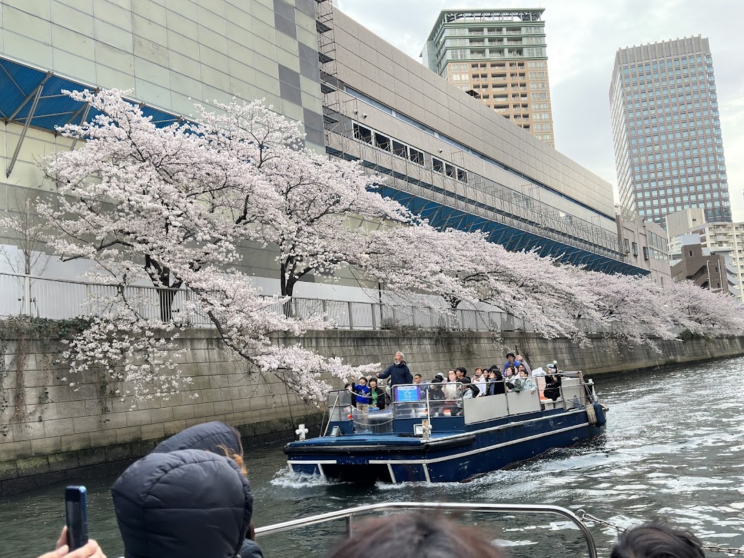 Yanagawa River Cruise