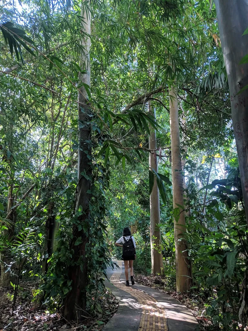 Mangal das Garças