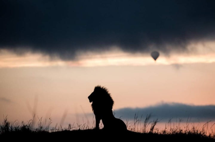 Kenya Masai Mara Safari: Great Migration & Wildlife Adventure