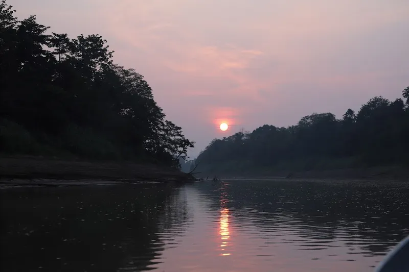 Fleuve Kinabatangan