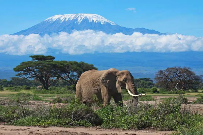 Mont Kilimandjaro