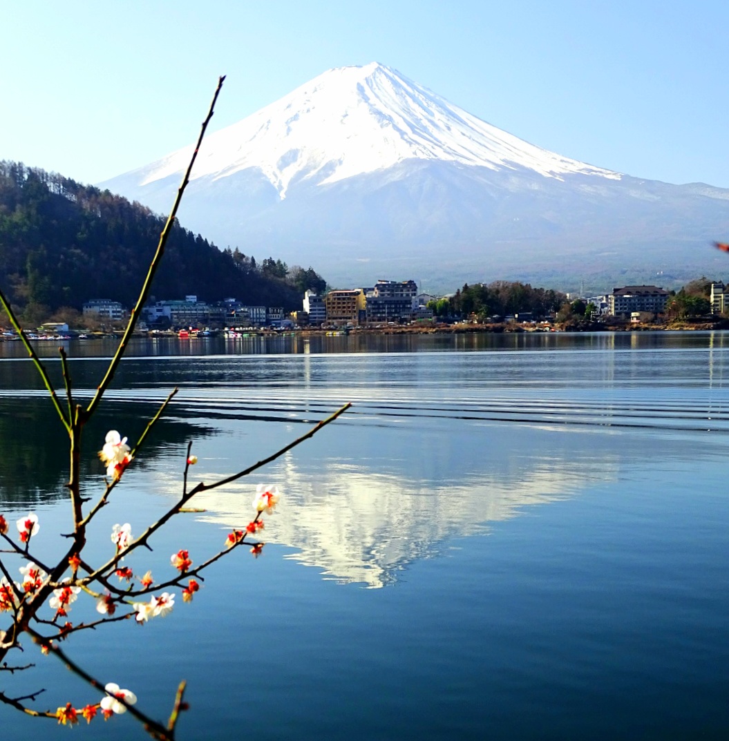 Mount Fuji