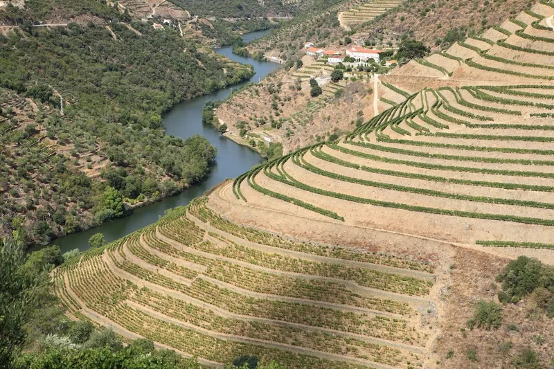 Douro Valley Wine Region