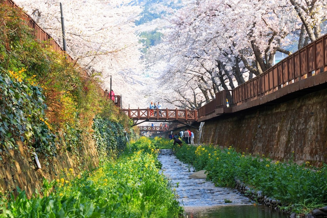Spring Flowers