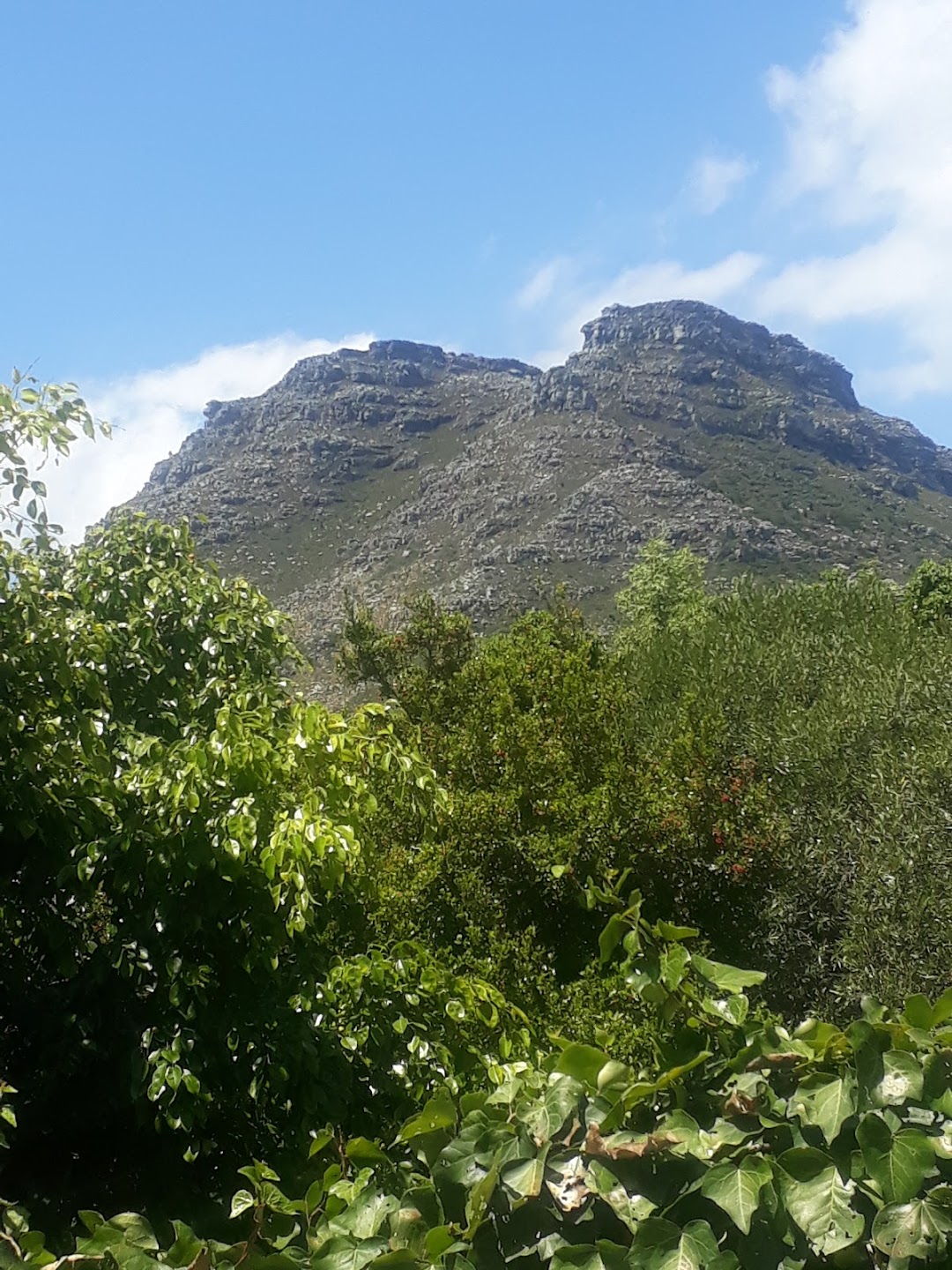 South Africa Cape Town, Wine Country & Garden Route