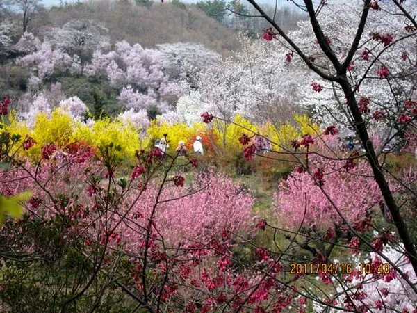 Parco Hanamiyama