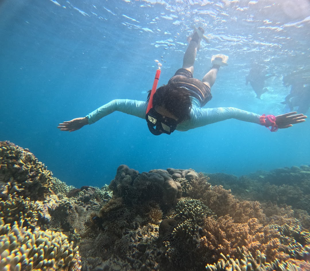 Menjangan Island Diving Spot