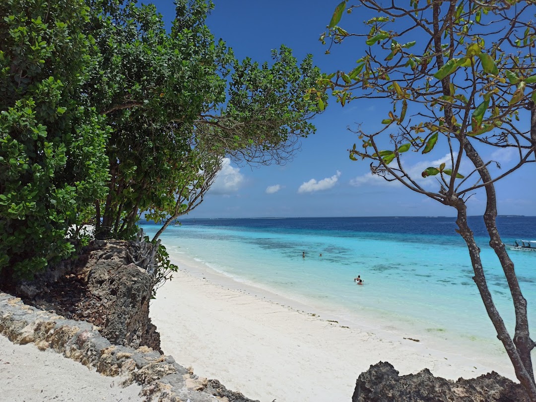 Zanzibar