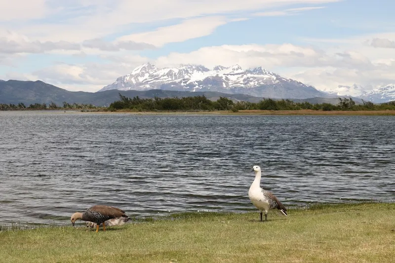 Parco nazionale Torres del Paine
