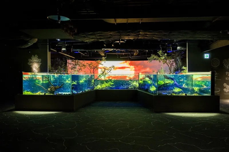 Akwarium Osaka Kaiyukan