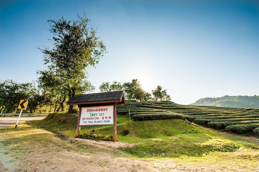 Mae Salong (Doi Mae Salong)