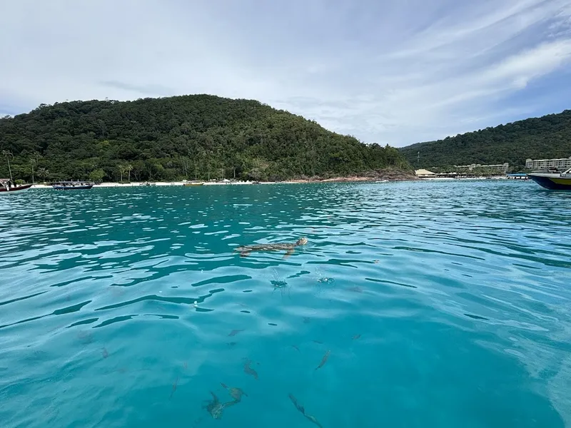 Parc des îles aux Tortues