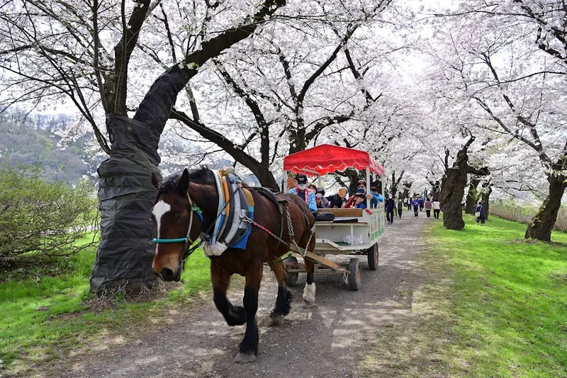 Parco Kitakami Tenshochi
