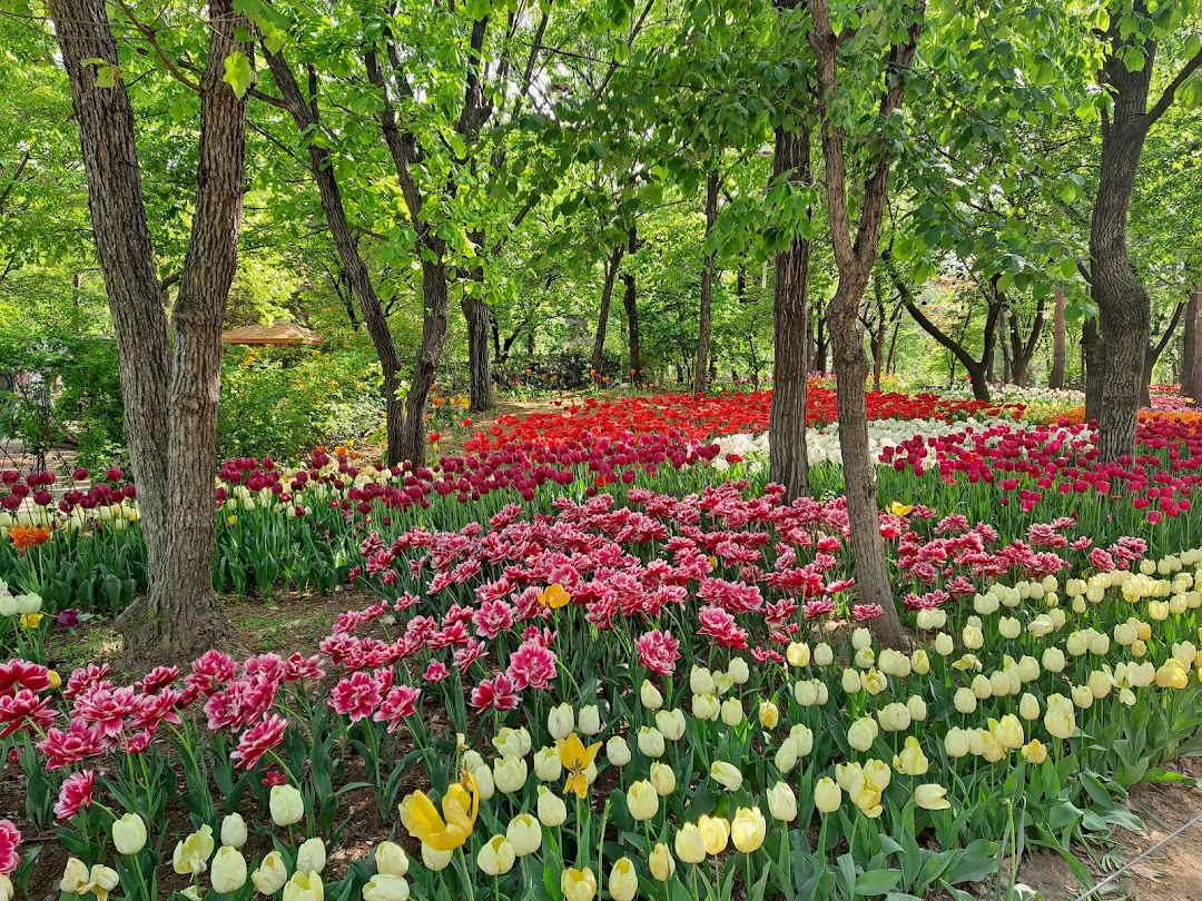 Seoul Forest Park