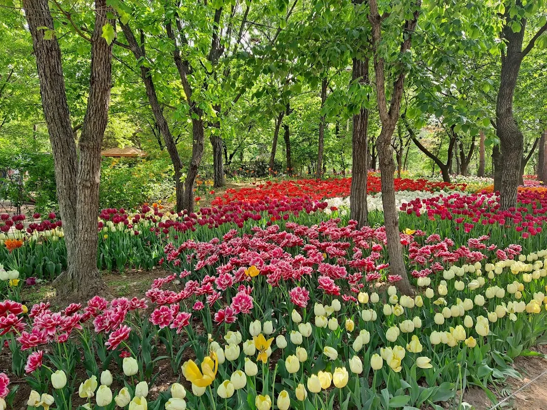 ソウルの森公園