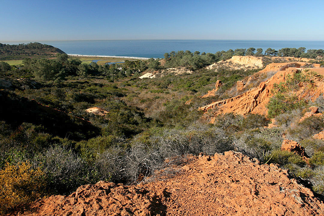 Torrey Pines State Natural Reserve
