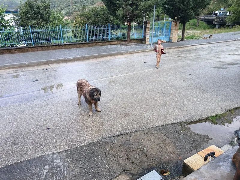 Le guide complet de la randonnée sur le sentier reliant Valbona à Theth en Albanie (2026)
