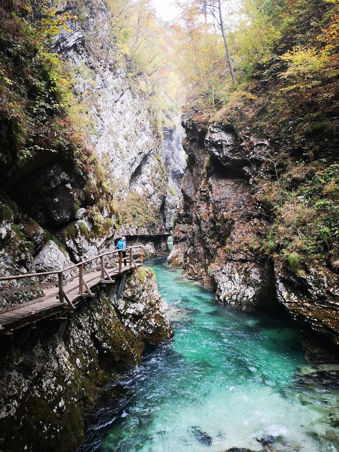 Triglav National Park