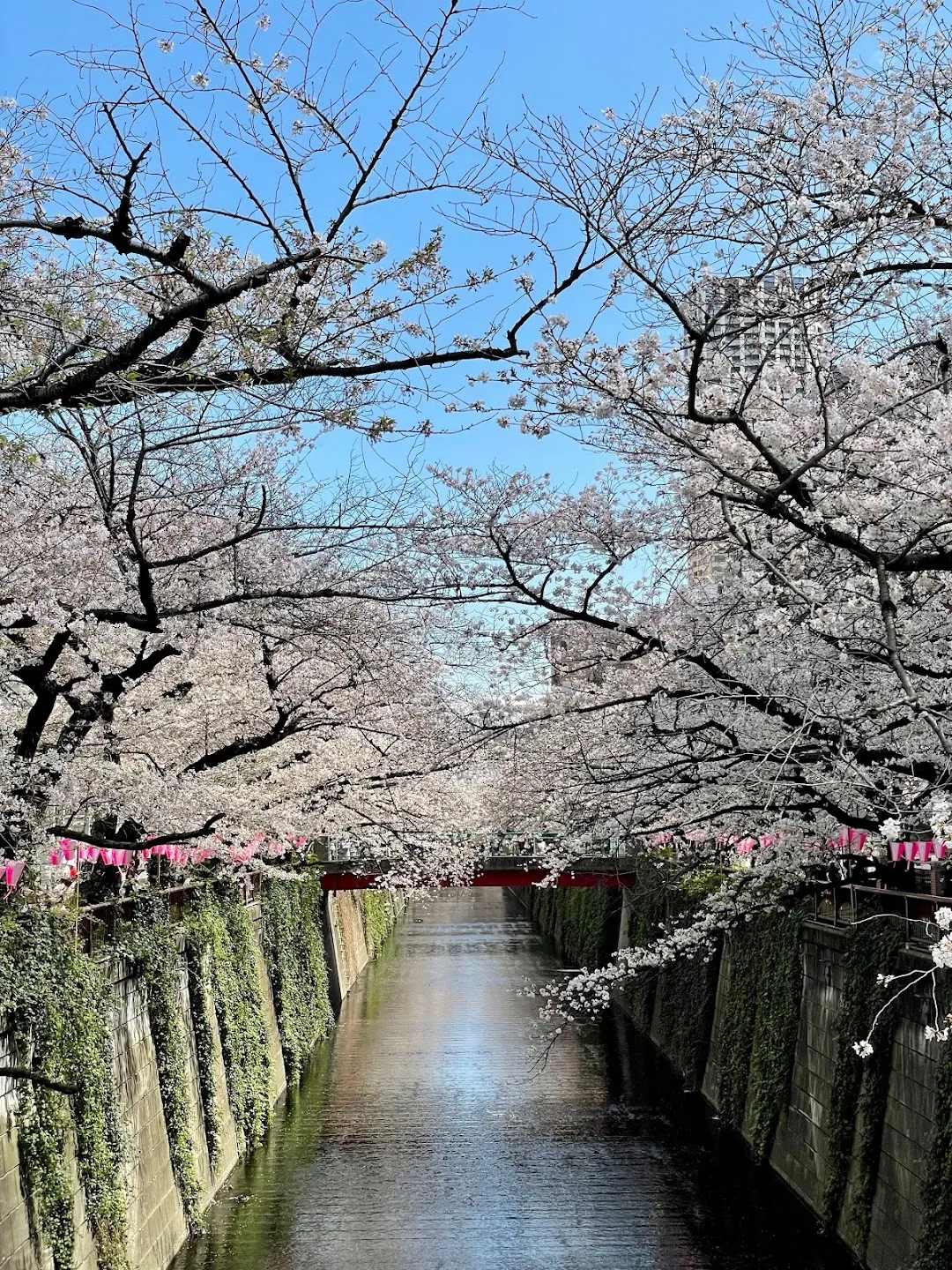 Nakameguro