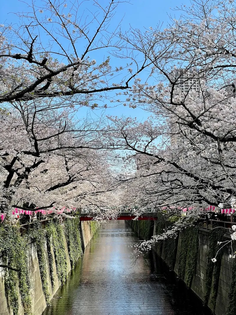 Nakameguro