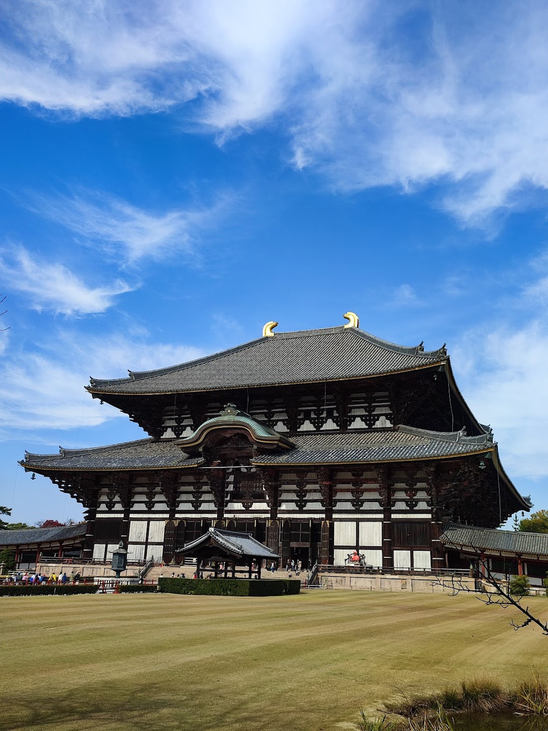 Nara Deer Park & Todai-ji