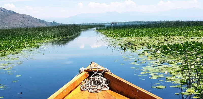 الجبل الأسود
