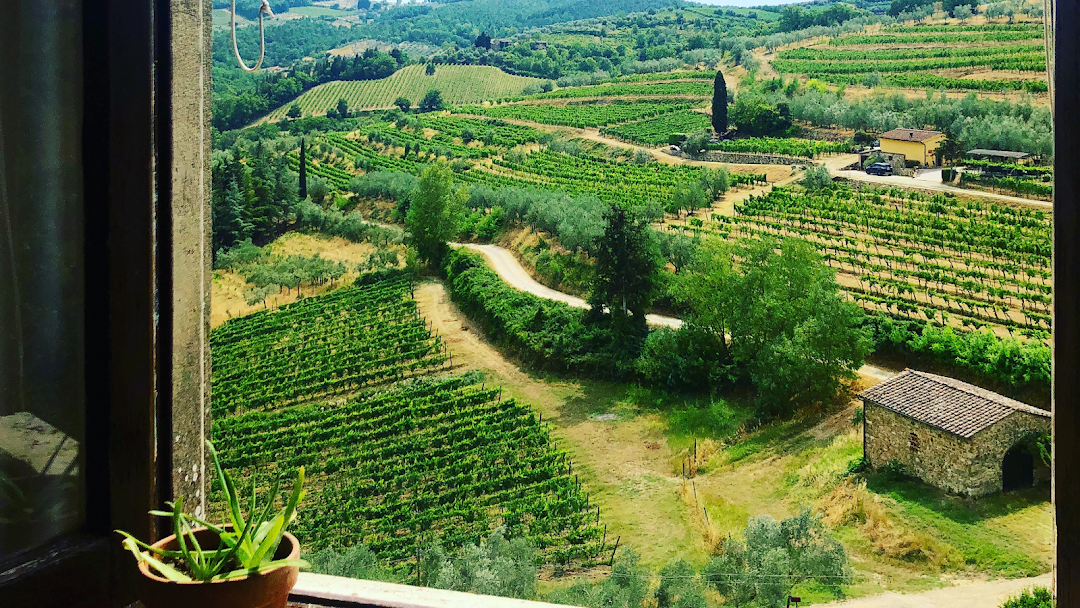 Tuscany Unhurried: 7-Day Florence–Val d’Orcia–Lucca Road Trip