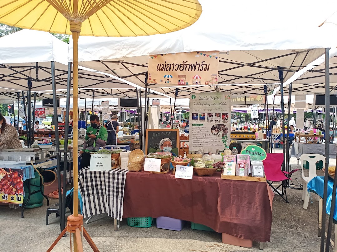 Chiang Mai to Chiang Rai Road-Trip: 3-Day Northern Thailand Scenic Route