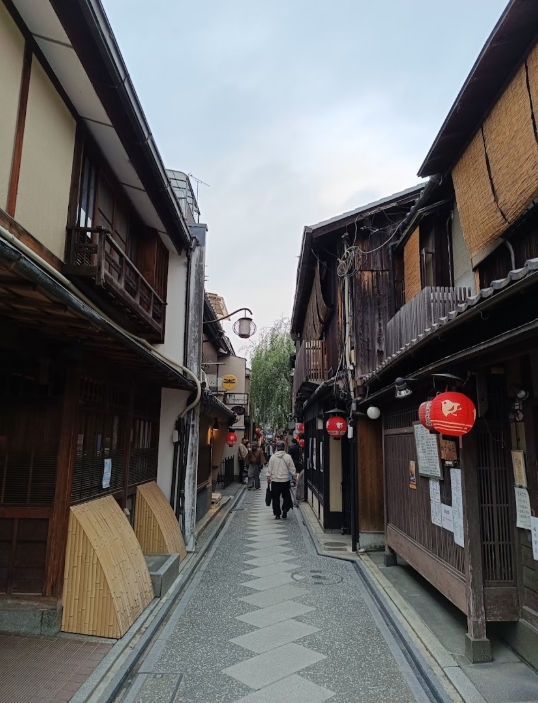 Pontocho Alley